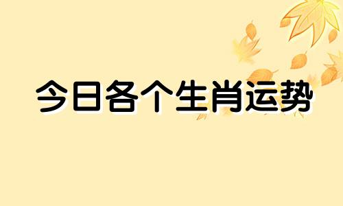 今日各个生肖运势 郑博士