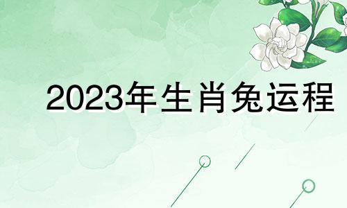 2023年生肖兔运程 生肖兔运程2024