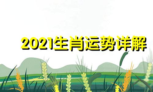 2021生肖运势详解 生肖运势2021年运势