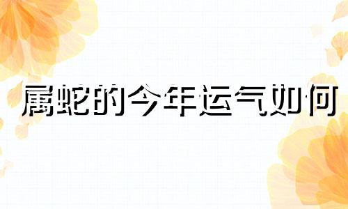 属蛇的今年运气如何 属蛇的今年运气好不好