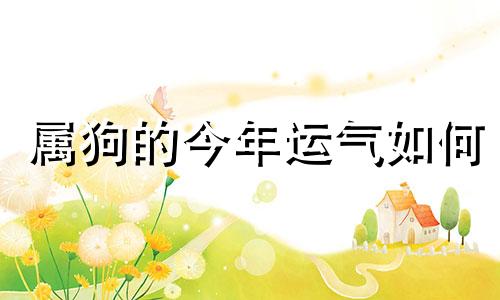 属狗的今年运气如何 属狗的今年运气好不好,1970年的