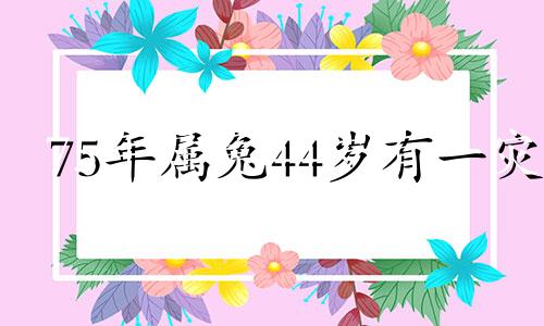 75年属兔44岁有一灾 运势怎么样