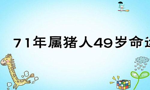 71年属猪人49岁命运 71年生肖猪49岁以后运势