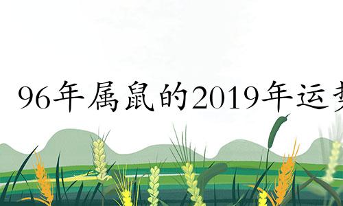 96年属鼠的2019年运势 1996年属鼠人2020年运势及运程