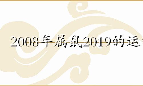 2008年属鼠2019的运气 2008年属鼠的2021年运势怎么样