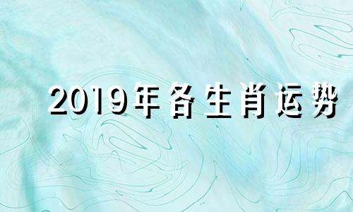 2019年各生肖运势 2019年生肖运势完整版