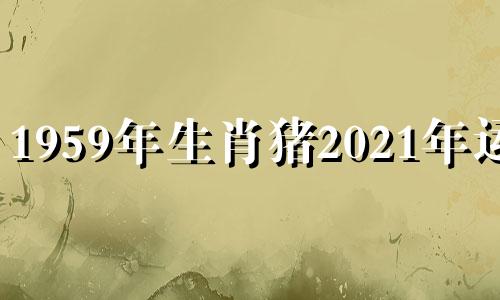 1959年生肖猪2021年运程 1959属猪的2021年运势怎么样