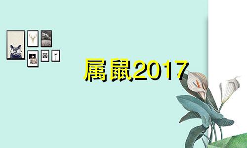 属鼠2017 年月份运势 2017年属鼠的命运