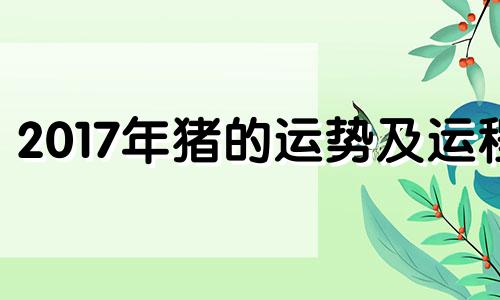 2017年猪的运势及运程 2017年生肖猪的运势大全