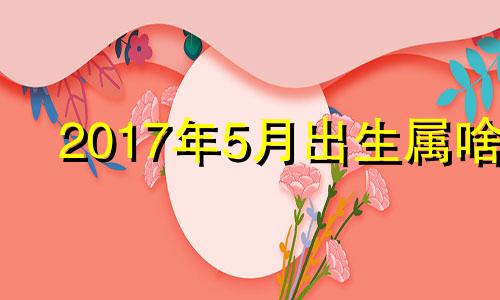 2017年5月出生属啥 2017年5月出生的孩子是什么命