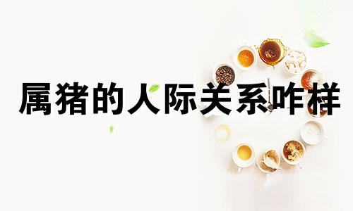 属猪的人际关系咋样 