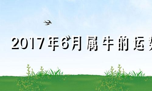 2017年6月属牛的运势 2017年牛宝宝几月出生最好