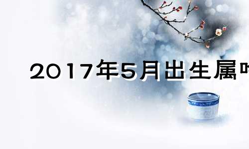 2017年5月出生属啥 2017年5月出生今年多大