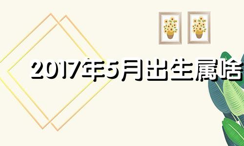 2017年5月出生属啥 2017年五月出生的鸡宝宝命运如何