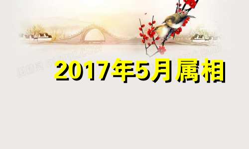 2017年5月属相 2017年鼠的运势