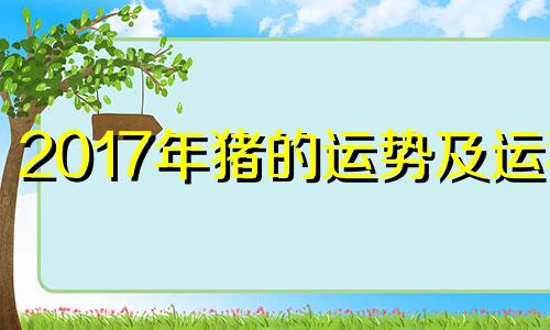 2017年猪的运势及运程 2017年属猪的运势如何