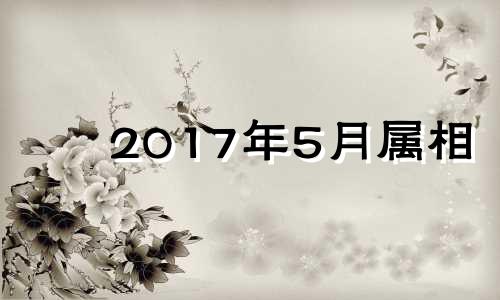 2017年5月属相 2017年属鼠