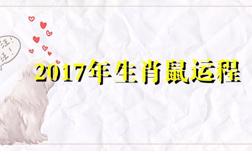 2017年生肖鼠运程 2017年属鼠人的全年运势