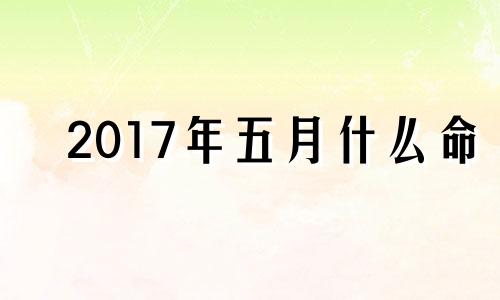 2017年五月什么命 2017年属兔的运气怎么样