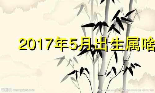 2017年5月出生属啥 2017年5月出生的宝宝是什么命