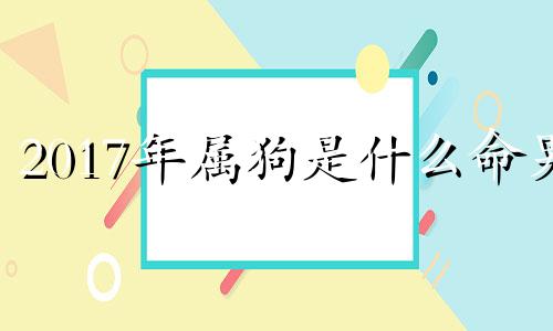 2017年属狗是什么命男 2017年属狗的