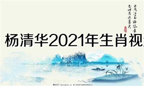 杨清华2021年生肖视频 杨清华算命