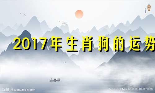 2017年生肖狗的运势 属狗2017年出生什么命