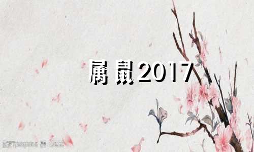 属鼠2017 年月份运势 2017年鼠的运势