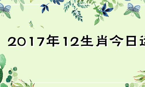 2017年12生肖今日运气 1月24日生肖运势排行榜