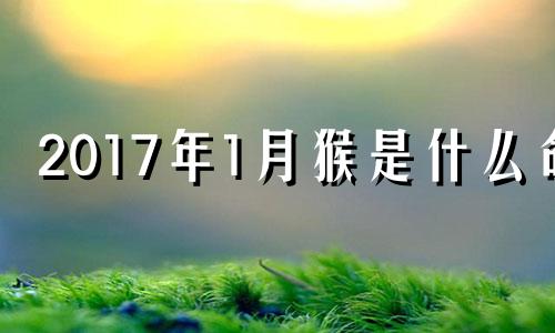 2017年1月猴是什么命 生肖猴2017年运势大全