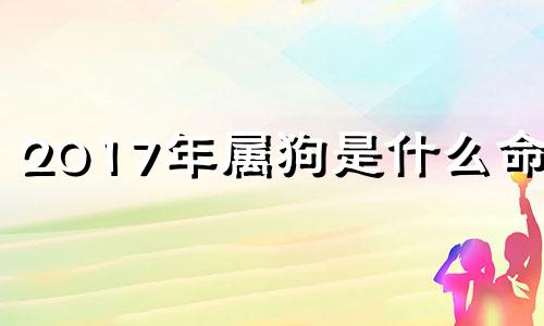 2017年属狗是什么命男 2017年属狗的命运