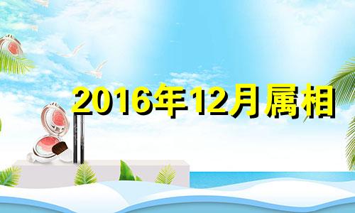 2016年12月属相 2016年12月属啥