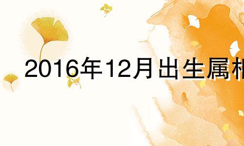 2016年12月出生属相 2016年十二月出生的人命运怎样