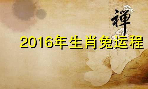 2016年生肖兔运程 2016年十二月出生的人命运怎样