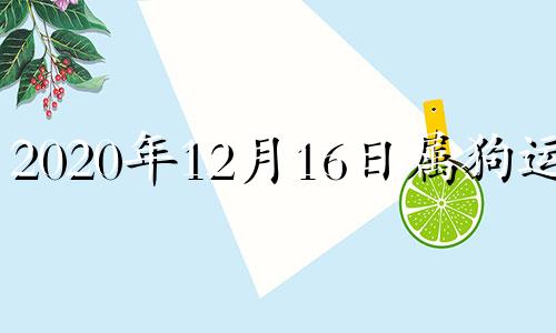 2020年12月16日属狗运势 2016年属狗什么月份好