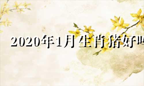 2020年1月生肖猪好吗