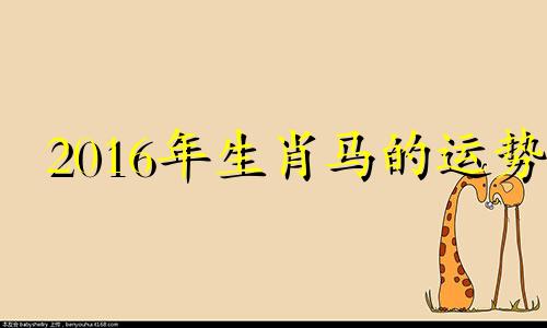 2016年生肖马的运势 2020年12月16日属马人运势