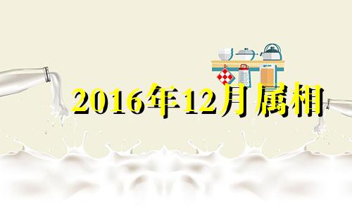 2016年12月属相 2016年十二月出生的人命运怎样