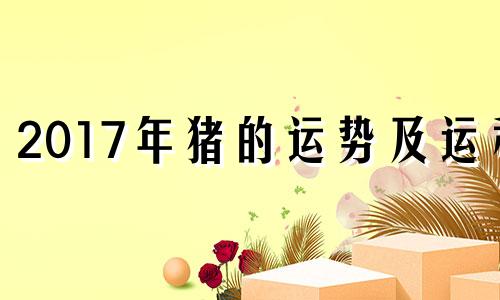 2017年猪的运势及运程 2017年出生的猪宝宝是什么命