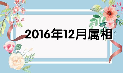 2016年12月属相 2016年12月属什么生肖什么命