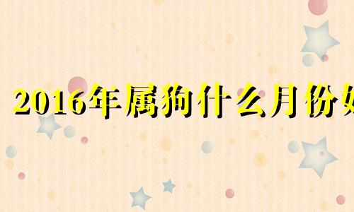 2016年属狗什么月份好 2016年出生属狗什么命