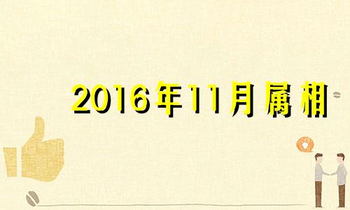 2016年11月属相 2016年11月属什么