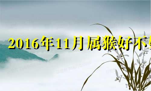 2016年11月属猴好不好 2016属猴11月出生是什么命