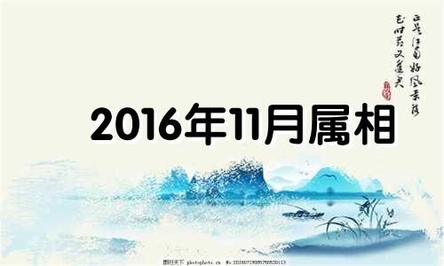 2016年11月属相 2016年11月的猴的命运怎么样