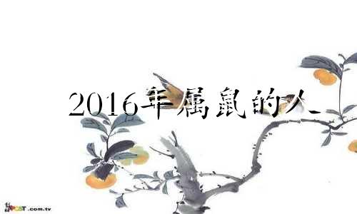 2016年属鼠的人 2016年生肖鼠运势