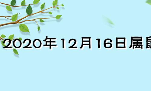 2020年12月16日属鼠运势 