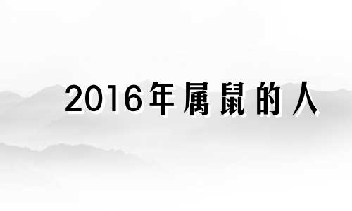 2016年属鼠的人 2016年鼠的运势