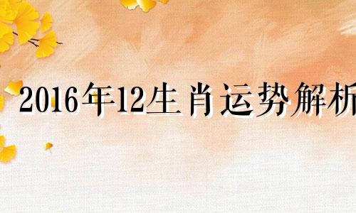 2016年12生肖运势解析 2016年12月属什么生肖什么命