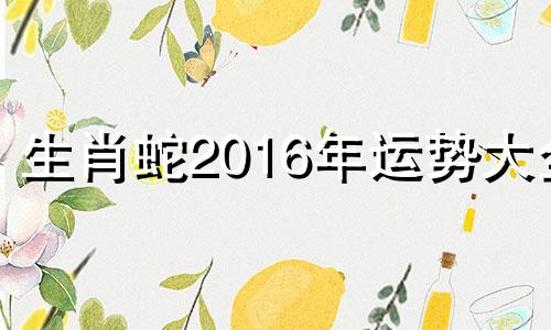 生肖蛇2016年运势大全 2016年十二月出生的人命运怎样