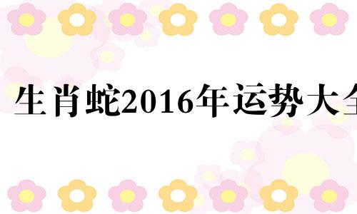 生肖蛇2016年运势大全 2016年属蛇的人是什么命?